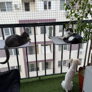 Protectie animale