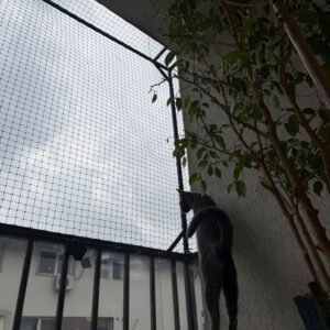 Plasa protectie animale