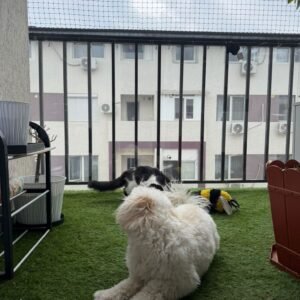 Plasa protectie animale
