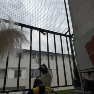 Plasa protectie animale