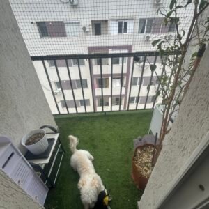 Plasa protectie animale