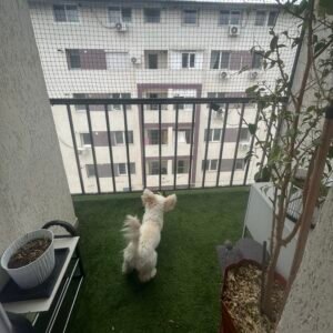 Plasa protectie animale